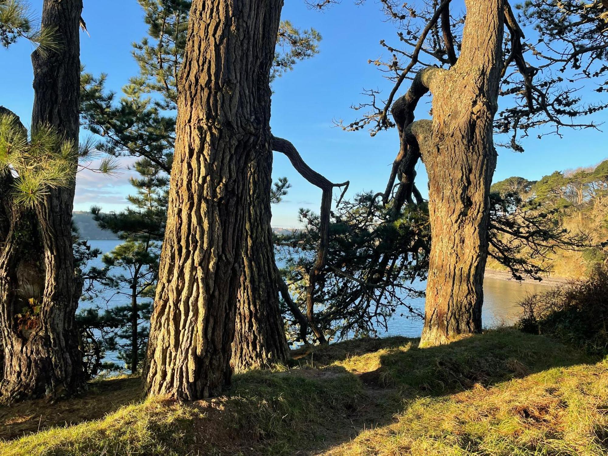 Tresahor Studio Falmouth Dış mekan fotoğraf